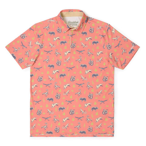 rsvlts-xs-breakfast-balls-breakfast-balls-all-day-polo-breakfast-balls-desert-dwellers-all-day-polo-breakfast-balls-desert-dwellers-all-day-polo