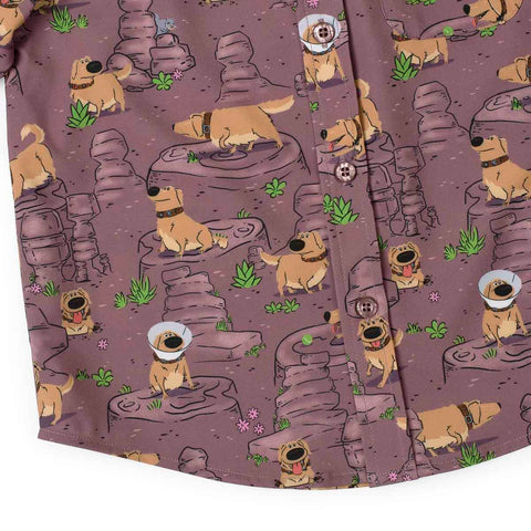 rsvlts-disney-and-pixar-preschool-short-sleeve-shirt-disney-and-pixar-up-my-name-is-dug-preschooler-kunuflex-short-sleeve-shirt