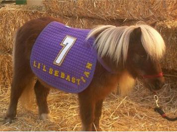 li-l-sebastian-is-a-perennial-favorite-on-the-track-and-in-our-hearts