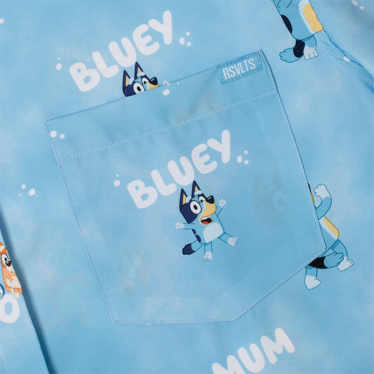 Bluey 