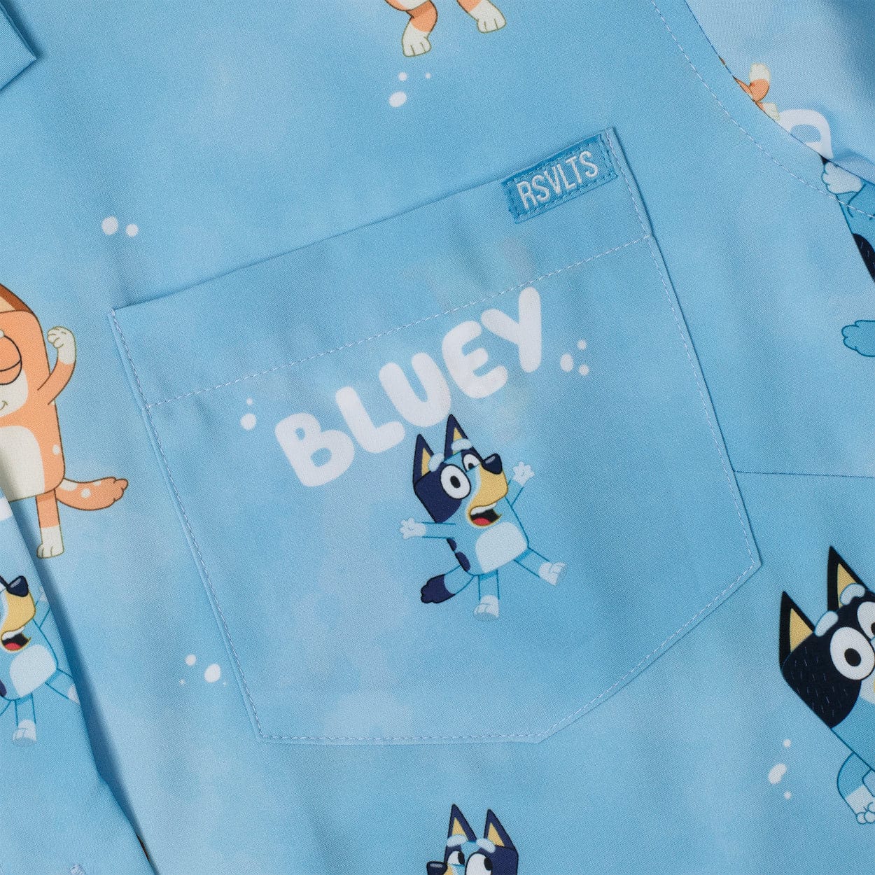 Bluey 