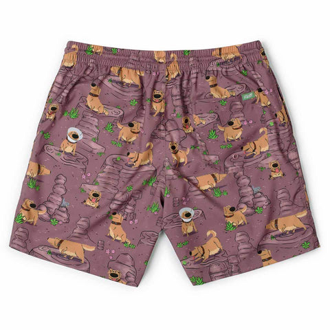 rsvlts-disney-and-pixar-hybrid-shorts-disney-and-pixar-up-my-name-is-dug-hybrid-shorts