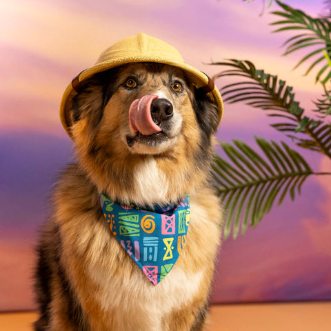 rsvlts-disney-dog-bandana-disney-mickeys-surfside-summer-dog-bandana-disney-mickeys-surfside-summer-dog-bandana