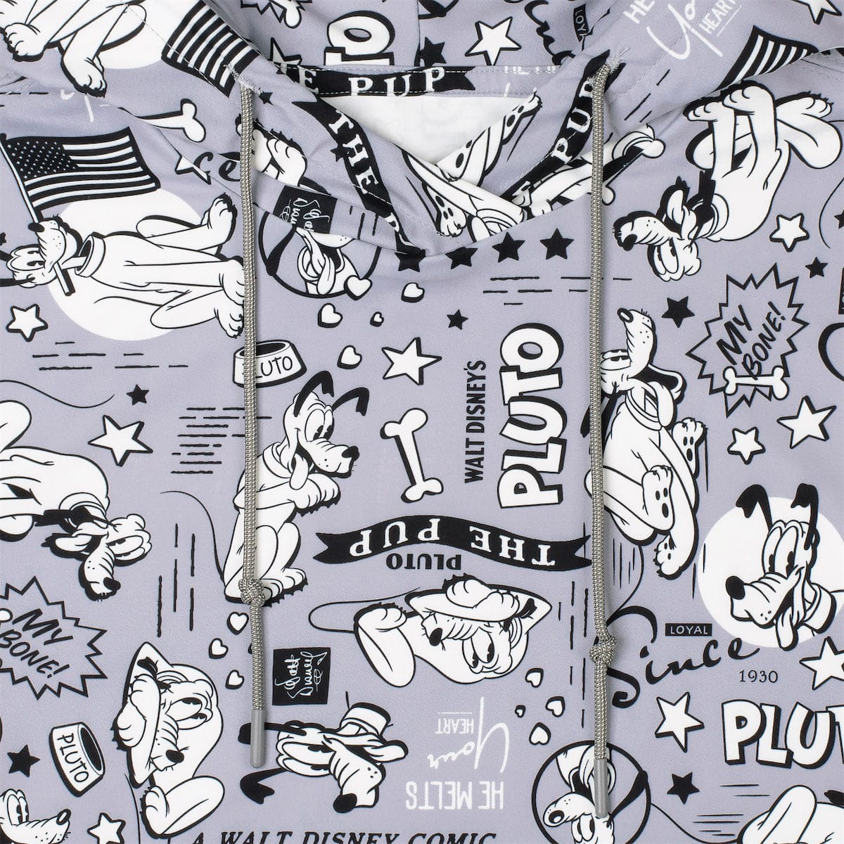 Disney's Pluto 