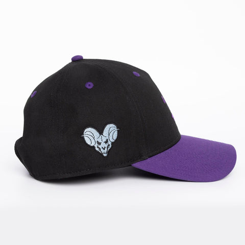 rsvlts-he-man-and-the-masters-of-the-universe-hat-masters-of-the-universe-skel-cap-5-panel-curved-brim-hat-masters-of-the-universe-skel-cap-5-panel-curved-brim-hat