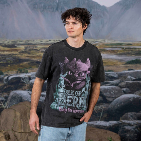 rsvlts-how-to-train-your-dragon-vintage-t-shirt-how-to-train-your-dragon-isle-of-berk-vintage-crewneck-tee-how-to-train-your-dragon-isle-of-berk-vintage-crewneck-tee