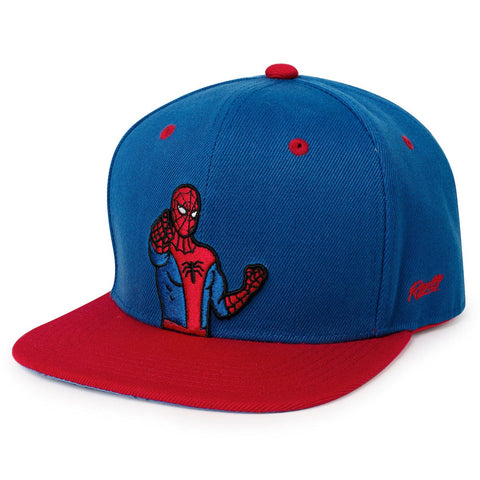 rsvlts-regular-marvel-hat-marvel-the-amazing-spider-man-tlb-hat