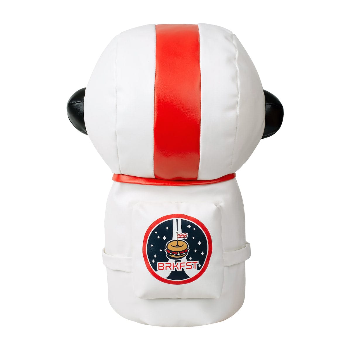 NASA 