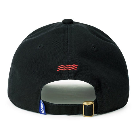 rsvlts-nasa-hat-nasa-meatball-dad-hat-nasa-meatball-dad-hat