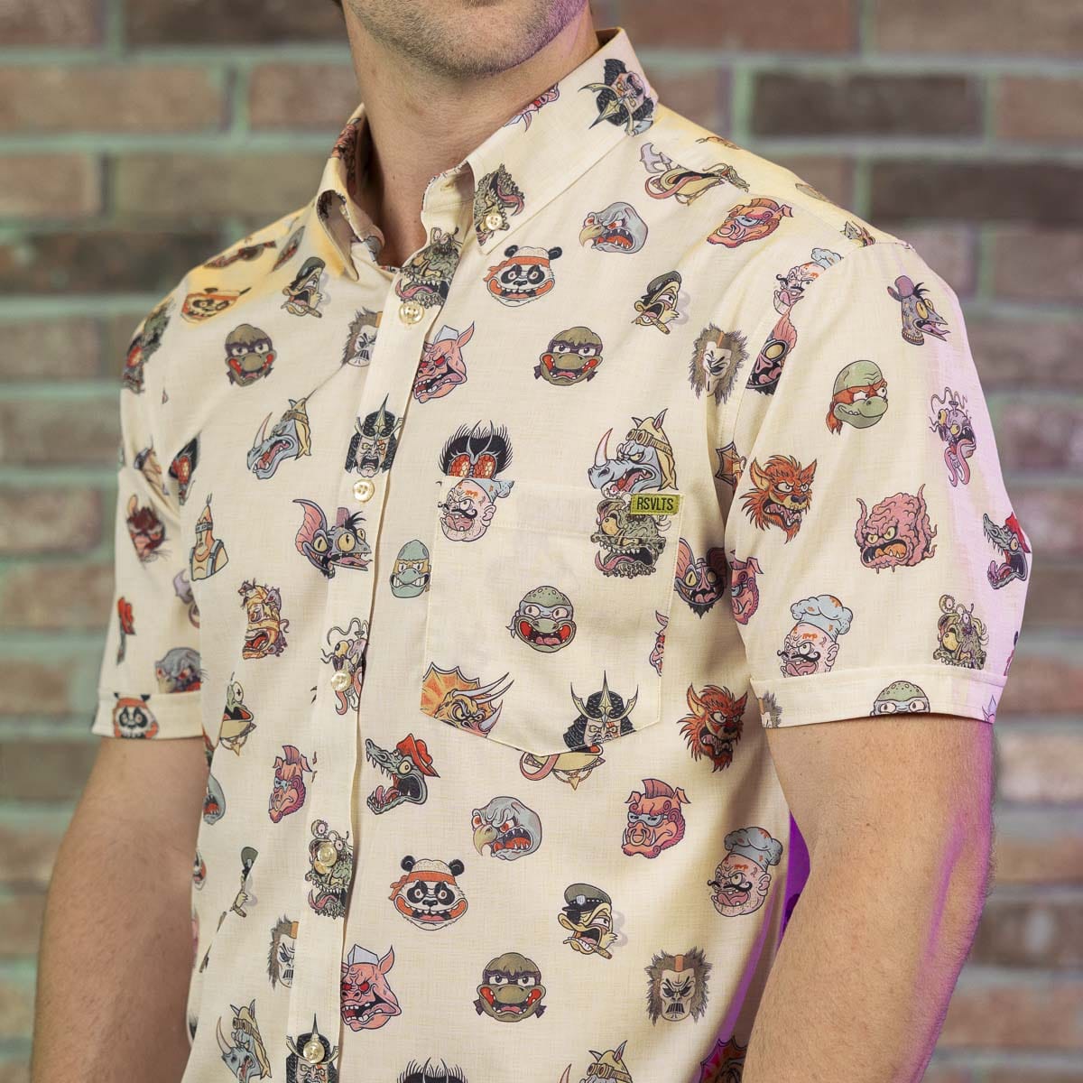 Teenage Mutant Ninja Turtles 