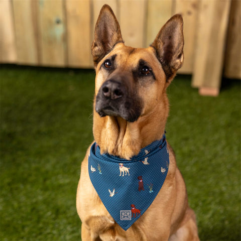 rsvlts-rsvlts-dog-bandana-duck-duck-dog-dog-bandana-duck-duck-dog-dog-bandana