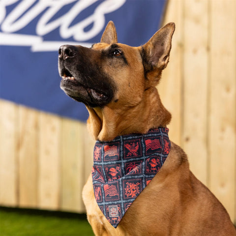 rsvlts-rsvlts-dog-bandana-grillaxin-dog-bandana-grillaxin-dog-bandana