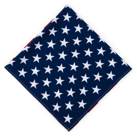 rsvlts-rsvlts-rsvlts-joggers-collection-flag-day-launch-usa-flag-pants-napoleon-inspired-_-man-dana-rsvlts-joggers-collection-flag-day-launch-usa-flag-pants-napoleon-inspired-_-man-dana