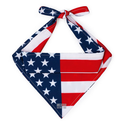rsvlts-s-rsvlts-rsvlts-joggers-collection-flag-day-launch-usa-flag-pants-napoleon-inspired-_-dog-bandana-rsvlts-joggers-collection-flag-day-launch-usa-flag-pants-napoleon-inspired-_-dog-bandana