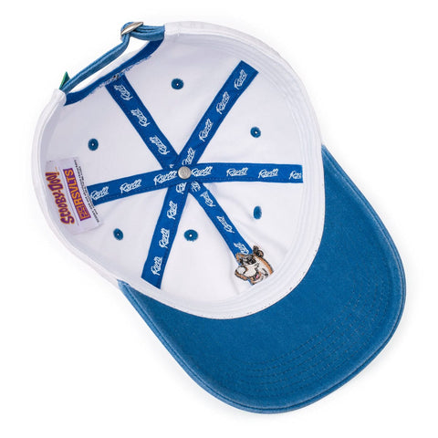 rsvlts-scooby-doo-hat-scooby-doo-scooby-dooby-doo-dad-hat-scooby-doo-scooby-dooby-doo-dad-hat