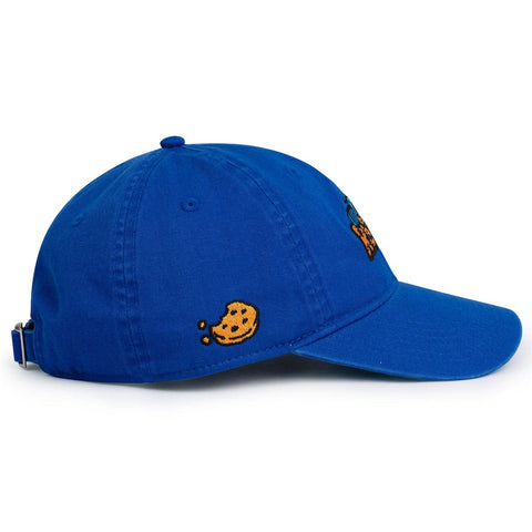 rsvlts-sesame-street-hat-sesame-street-me-want-cookie-dad-hat-sesame-street-me-want-cookie-dad-hat