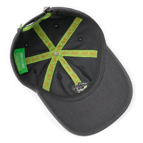 rsvlts-sesame-street-hat-sesame-street-scram-dad-hat-sesame-street-scram-dad-hat