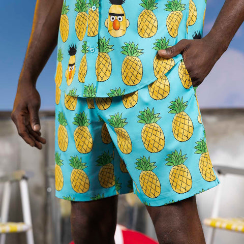 rsvlts-sesame-street-hybrid-shorts-sesame-street-bert-apple-hybrid-shorts-sesame-street-bert-apple-hybrid-shorts