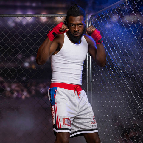 rsvlts-street-fighter-basketball-shorts-street-fighter-the-warriors-way-mesh-shorts-street-fighter-the-warriors-way-mesh-shorts