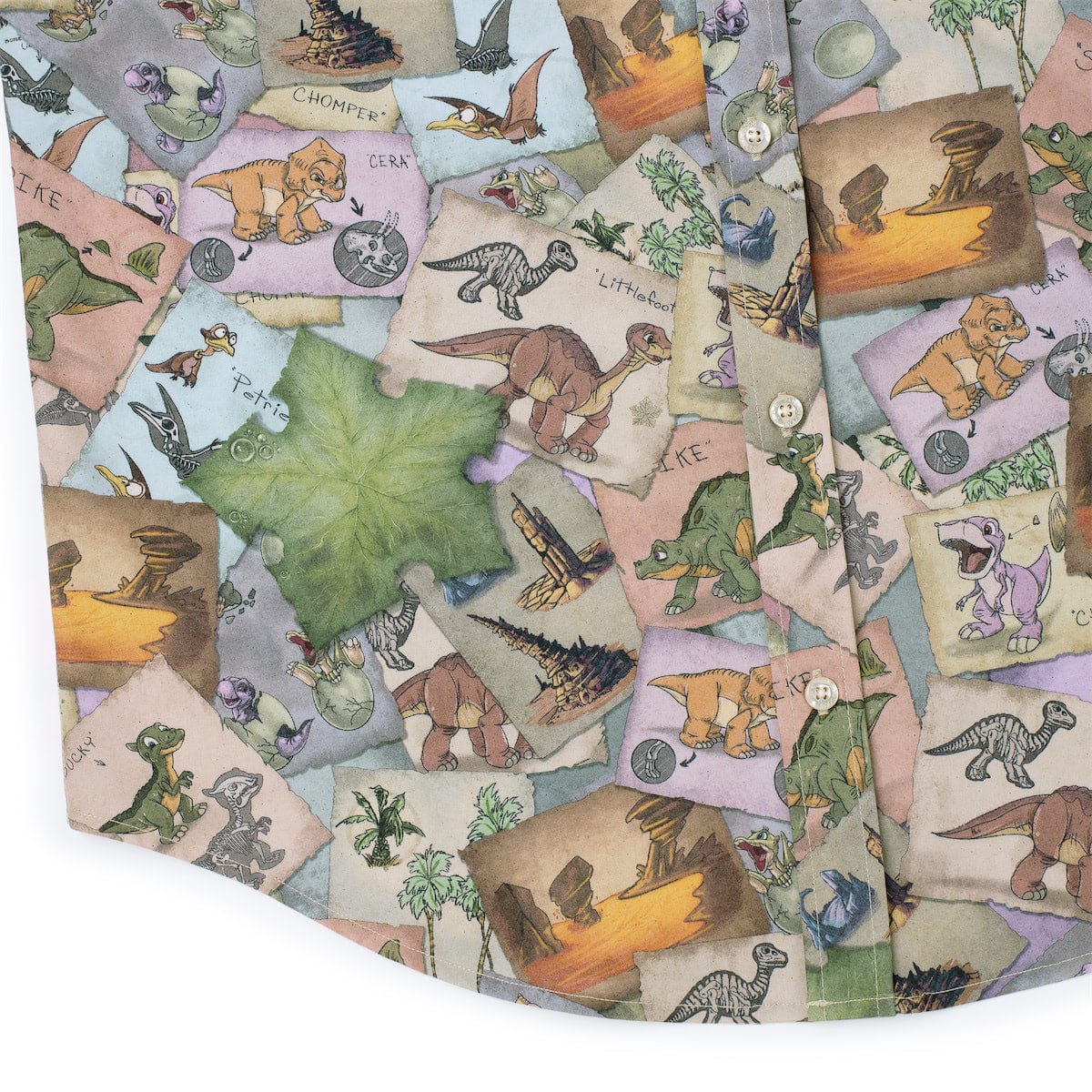 The Land Before Time 