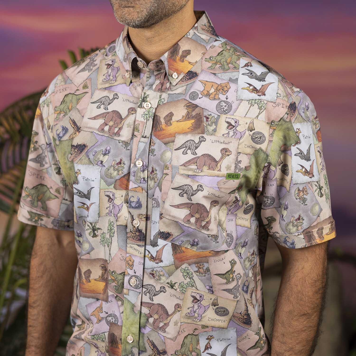 The Land Before Time 
