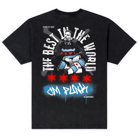 rsvlts-wwe-vintage-t-shirt-summerslam-cm-punk-_-vintage-tee-summerslam-cm-punk-_-vintage-tee