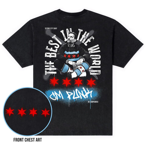 rsvlts-wwe-vintage-t-shirt-summerslam-cm-punk-_-vintage-tee-summerslam-cm-punk-_-vintage-tee