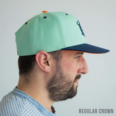 rsvlts-nickelodeon-hat-tlb-new-york-vigilantes-snapback-cap