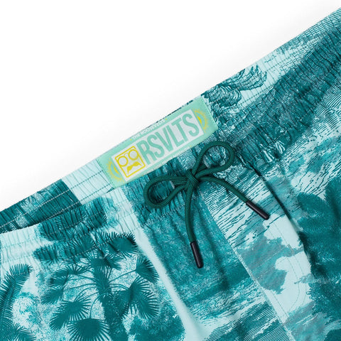 rsvlts-rsvlts-hybrid-shorts-rsvlts-spring-series-3-litho-palms-hybrid-shorts