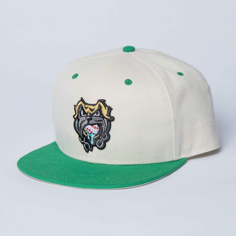 rsvlts-the-sandlot-hat-the-sandlot-the-beast-snapback-cap