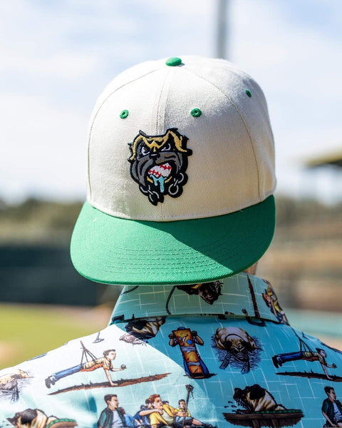 rsvlts-the-sandlot-hat-the-sandlot-the-beast-snapback-cap