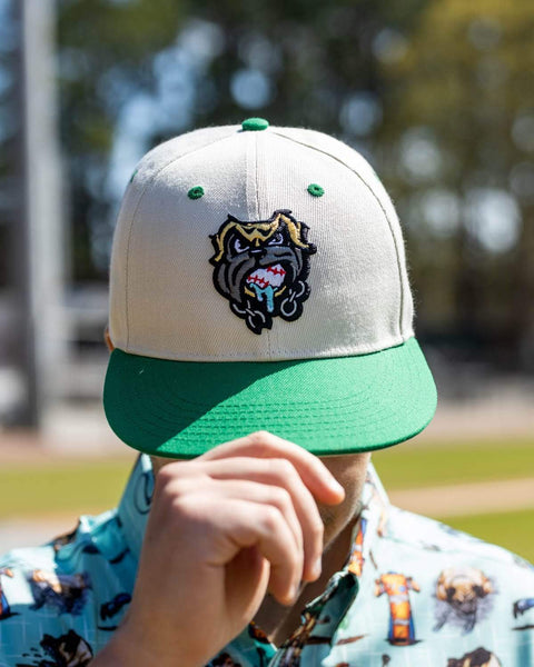 rsvlts-the-sandlot-hat-the-sandlot-the-beast-snapback-cap